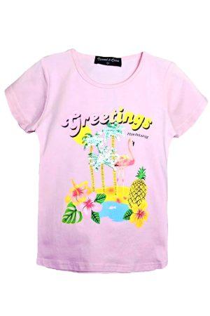 Shirtje Flamingo greetings roze