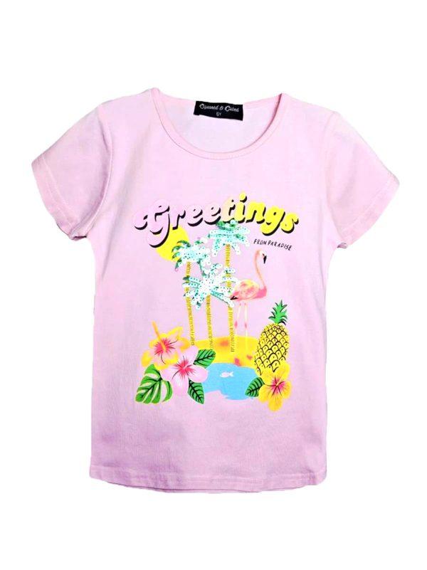 Shirtje Flamingo greetings roze